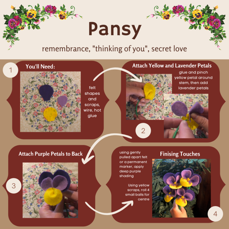 Pansy