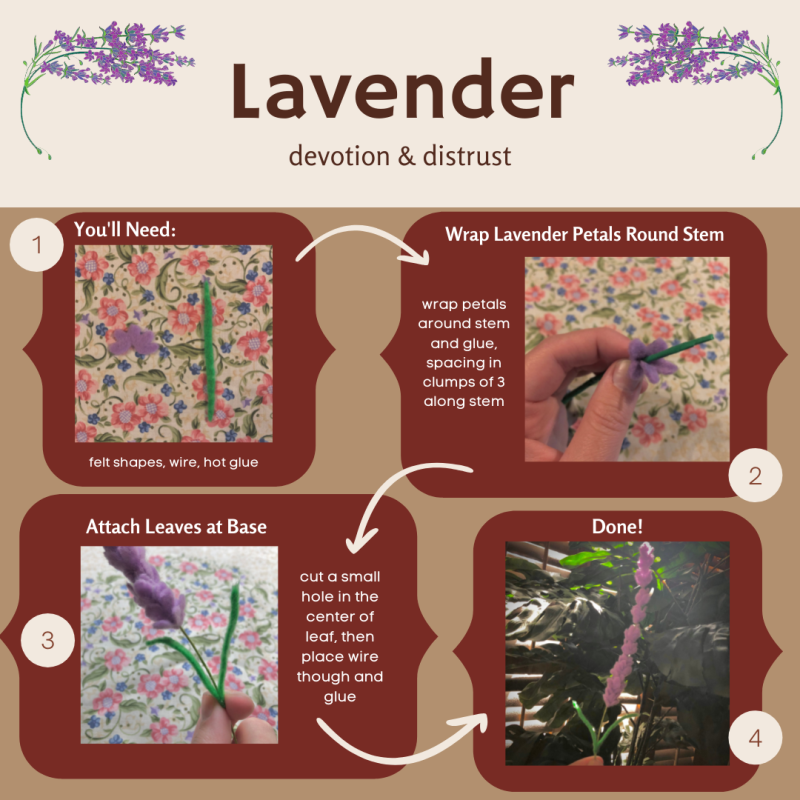 Lavender