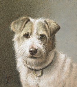 Portrait of a jack russell terrier